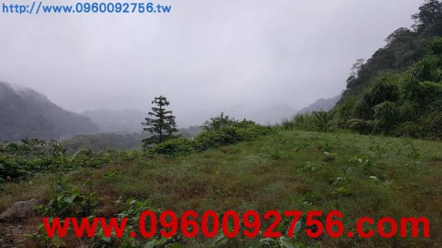 橫山農地-1