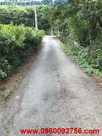 苗栗農地-5