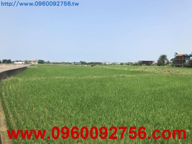 新竹湖口農地-3