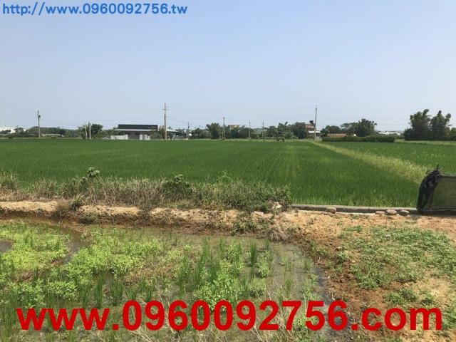 新竹湖口農地-4