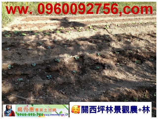 新竹關西休閒地-2