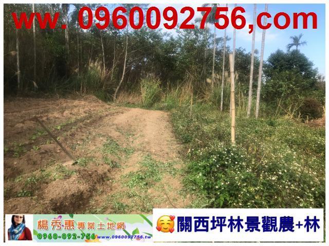 新竹關西休閒地-0