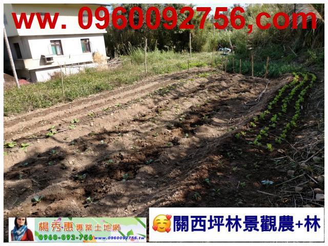 新竹關西休閒地-4
