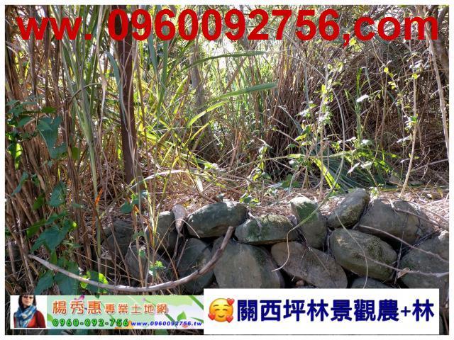 新竹關西休閒地-5