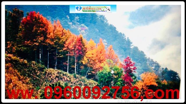新竹休閒地-1