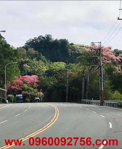 大湖農地-1