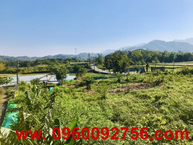 橫山農地-5