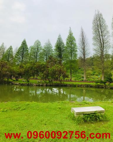 北埔山坡地-2
