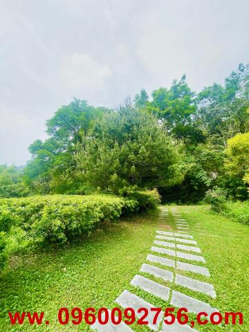 寶山農地-10