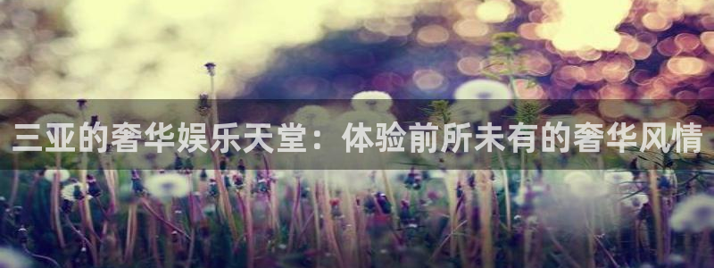 意昂3登录：三亚的奢华娱乐天堂：体验前所未有的奢华风情