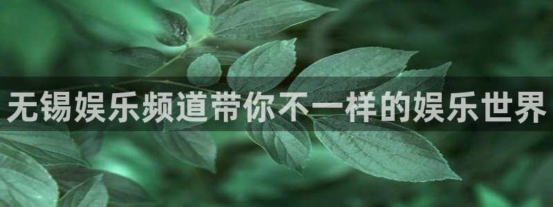 意昂3官网登录：无锡娱乐频道带你不一样的娱乐世界