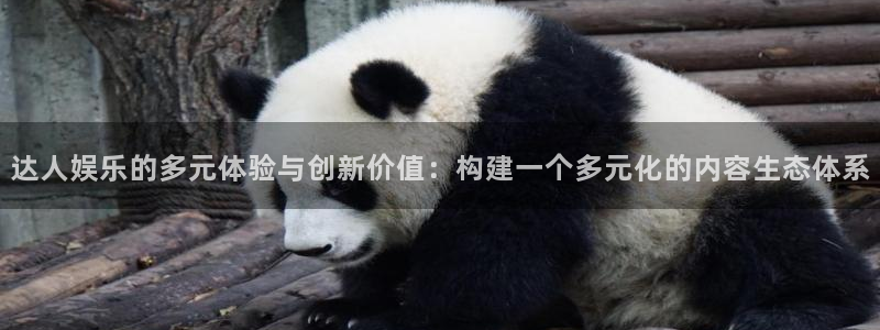 意昂2登录：达人娱乐的多元体验与创新价值：构建一个多元化的内容生态体系