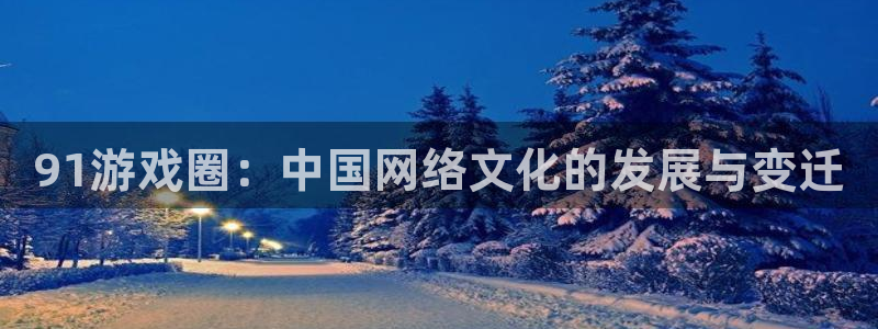 意昂2登录入口：91游戏圈：中国网络文化的发展与变迁