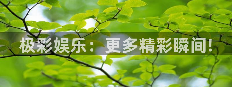 意昂3平台登录注册：极彩娱乐：更多精彩瞬间!