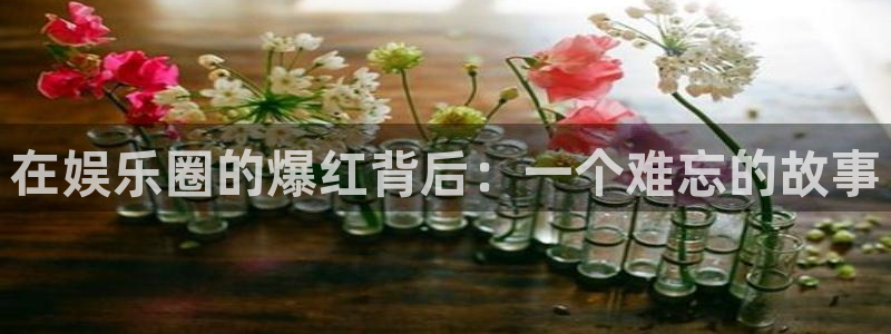 意昂3登陆：在娱乐圈的爆红背后：一个难忘的故事